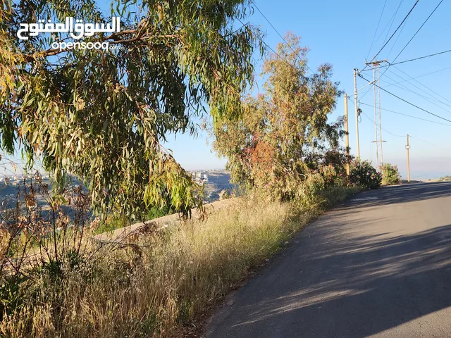 Residential Land for Sale in Amman Al Bassah