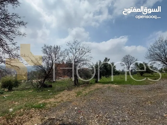 Residential Land for Sale in Amman Badr Jdedeh