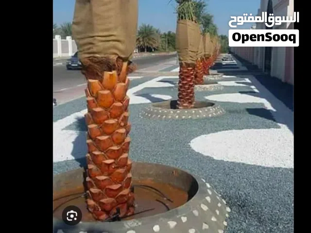 مظلات شلالات غرف زجاجية قص وازاله اشجار