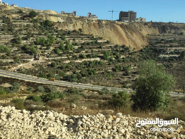 Residential Land for Sale in Ramallah and Al-Bireh Surda