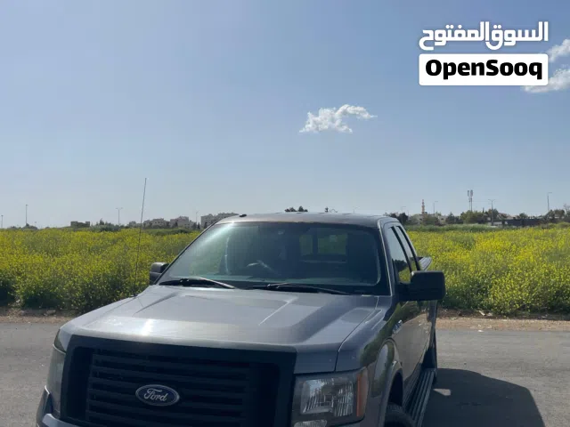 2010, فورد, F-150, Standard
