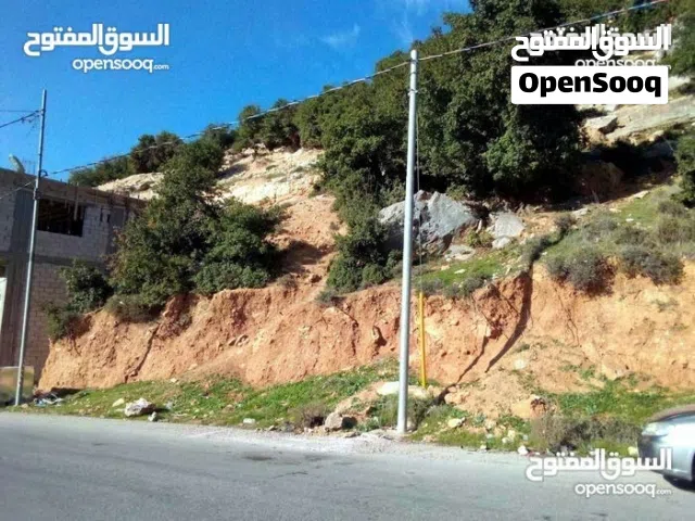 Residential Land for Sale in Ajloun E'in Jana