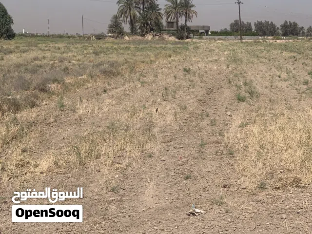 ارض تجاريه على سريع الدولي طابو المحموديه 83 دونم واجهه 500 متر نزال اكثر من1000 متر مباشره على طريق
