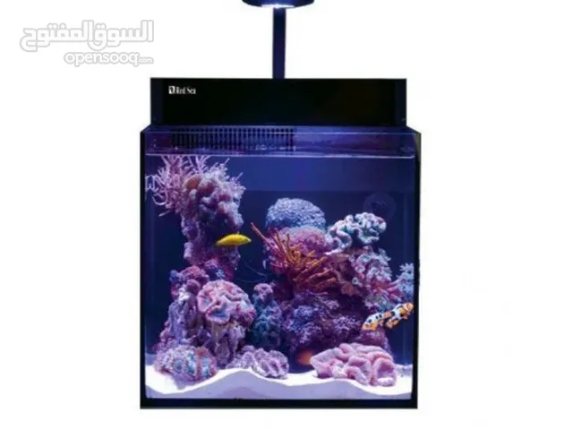 Red Sea Max Nano Cube + Clown Fish + Table/ Cabinet حوض سمك