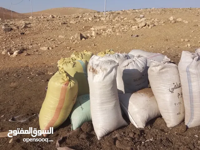 سماد غنم للبيع