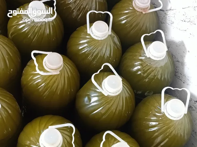 زيت زيتون بني وليد