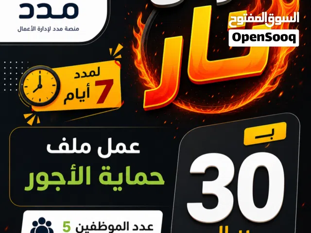 ملف حماية الأجور 5 موظفين 30 ريال