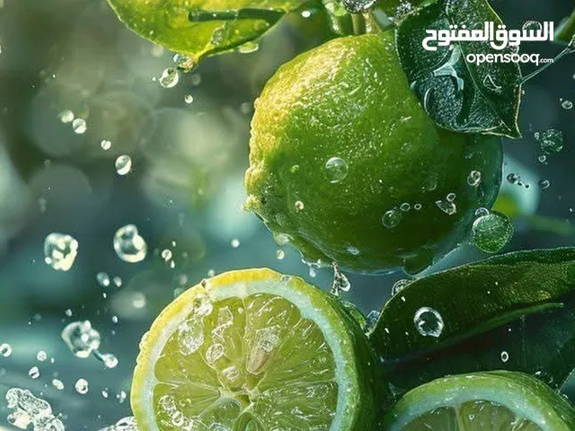 العاشر من رمضان
