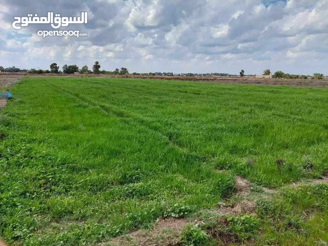 Industrial Land for Sale in Baghdad Abu Ghraib