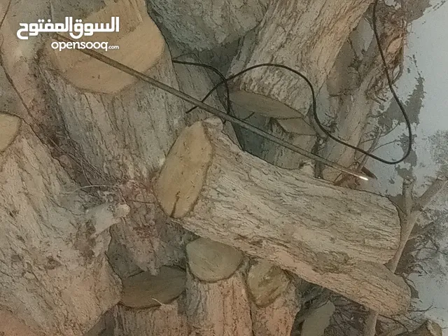 حطب شجره حومر كامله للبيع