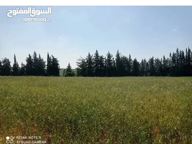 أرض مميزة في موقع استراتيجي مقابل قرية ضهر الكورة، تبعد فقط 100 متر عن الشارع العام