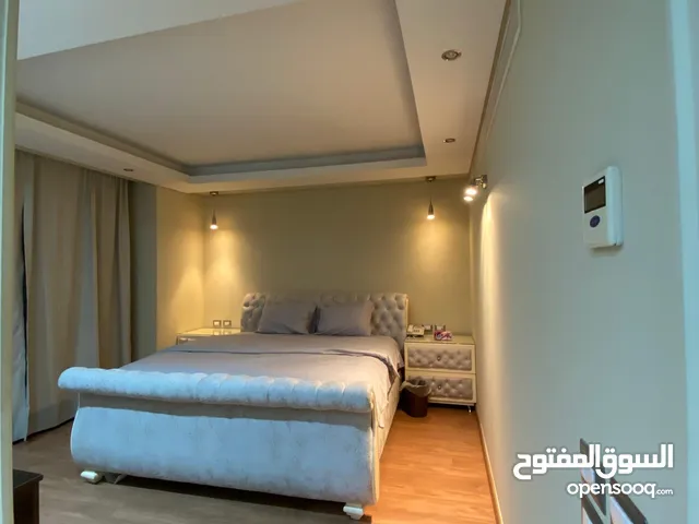 200 m2 2 Bedrooms Apartments for Rent in Giza Dokki