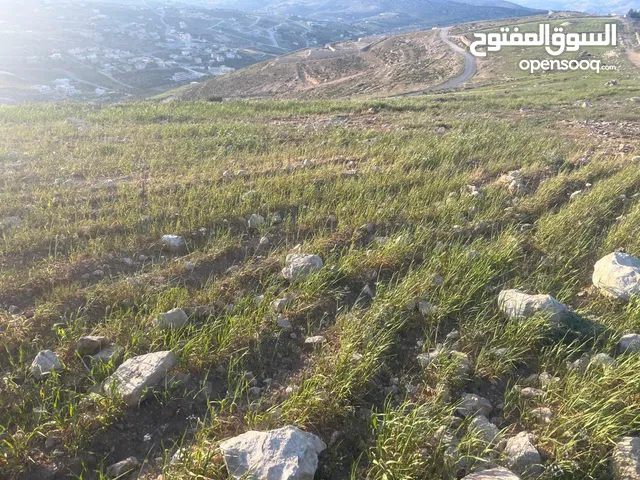 Mixed Use Land for Sale in Zarqa Al-Kamsha