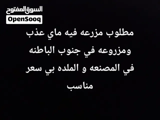 rjjrjrbdbrbrh