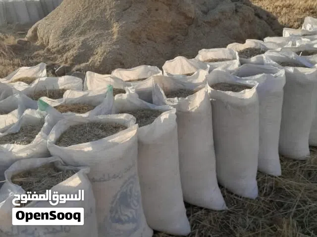 تبن شعير نضيف الشوال محشي حشي مش فاضي العداد 160 شوال