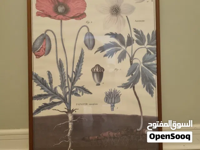 لوحة مع إطار 52×72 سم vintage style print