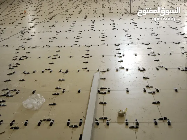 بليط في عمان