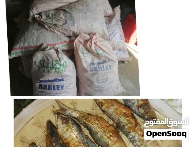 عومه للبيع للمغبره حلوووه