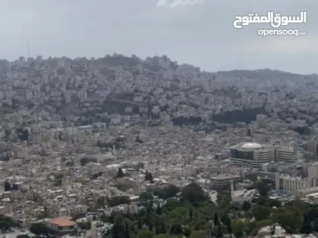 شقة للبيع في اطلالة مميزة نابلس الجبل الشمالي شارع ابو بكرا العمارة جديدة