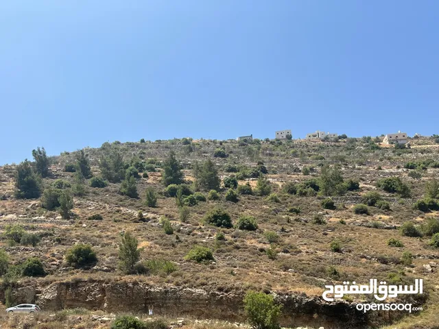 Mixed Use Land for Sale in Hebron Beit Kahil