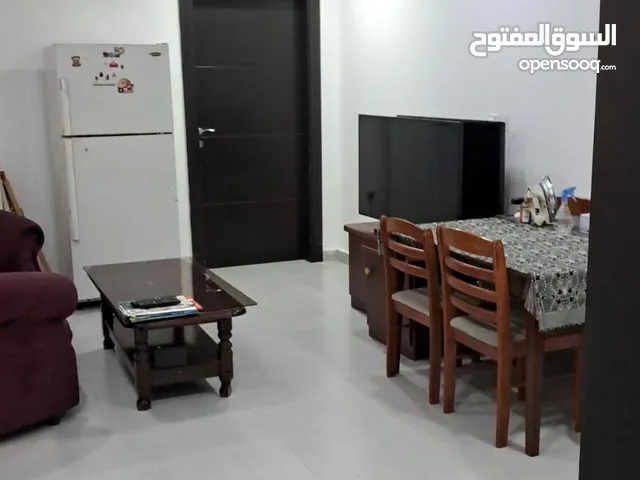 Room for Rent +Ewa In sharing flat