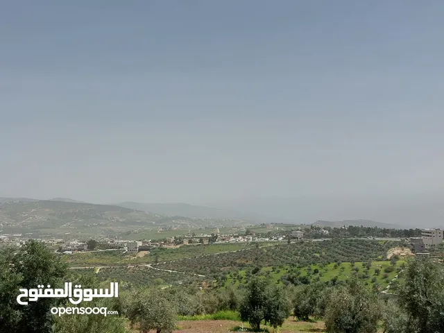 ارض لقطه 4 دونمات للبيع تبعد عن فندق غصن الزيتون 1 كم