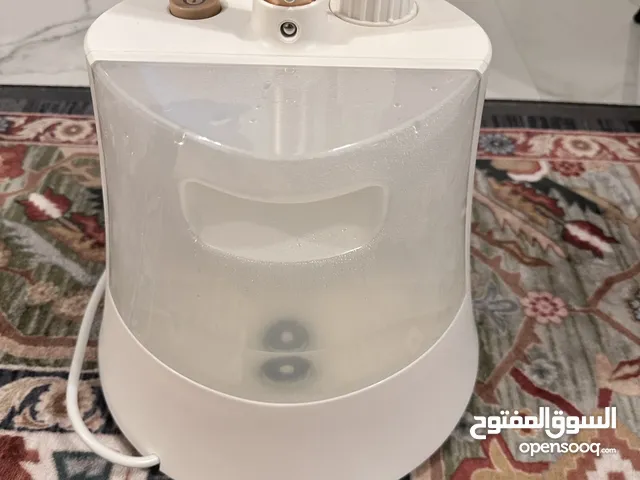 Panasonic steam iron