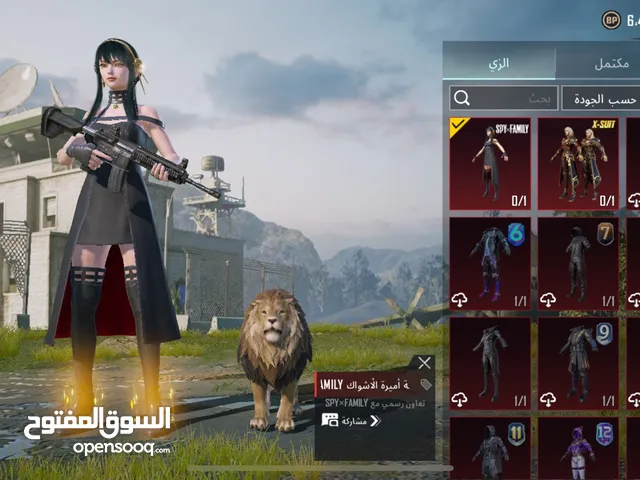 Pubg Accounts and Characters for Sale in Ajloun