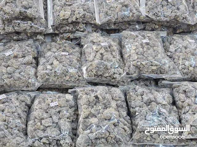 لبان حوجري غفقط 4ريال