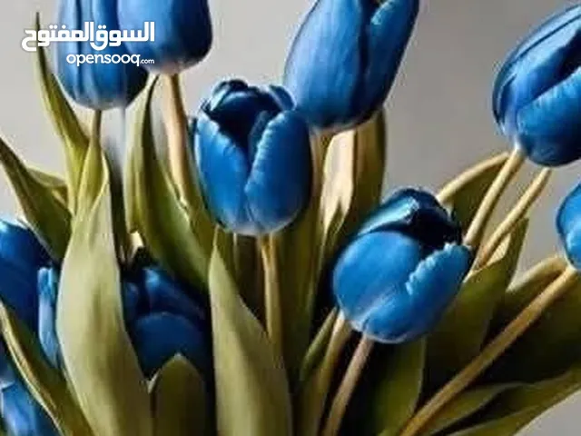 مطلوب ممول لتمويل استيراد علامه تجارية من الصين بضاعه معروفه بالسوق