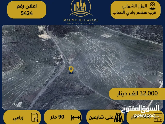 رقم الإعلان: 5424 قطعة ارض زراعية مميزة للبيع في المزار الشمالي - قرب مطعم وادي الضباب