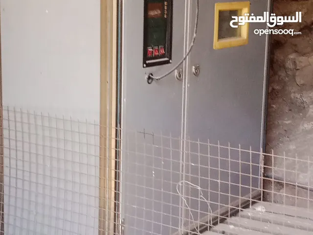 فقاسه للبيع