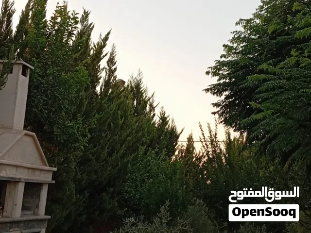 1000 m2 More than 6 bedrooms Townhouse for Sale in Ramtha Romtha