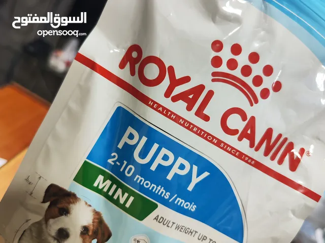 اكل كلاب مني بوبي رويال كانن غذاء صحي ومتزن ، نهتم بك وبحيوانك منذ الصغر