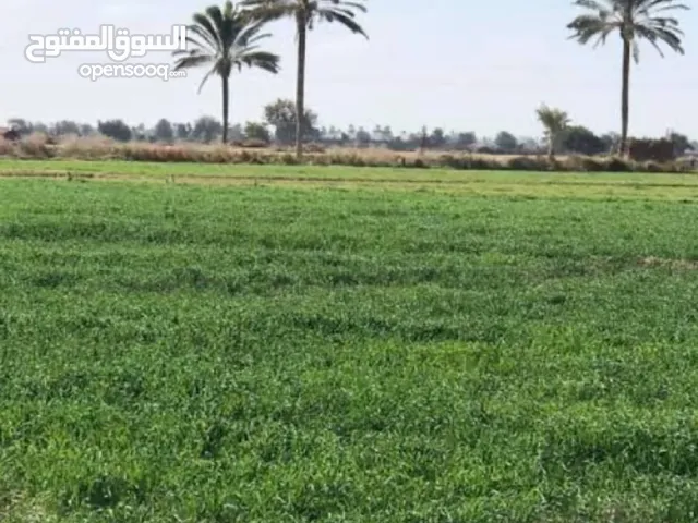 Farm Land for Sale in Beheira Abuu al-Matamer