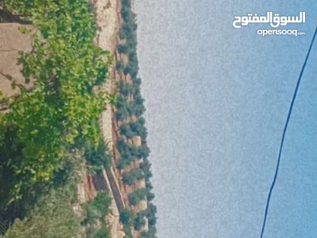 ارض للبيع زراعيه