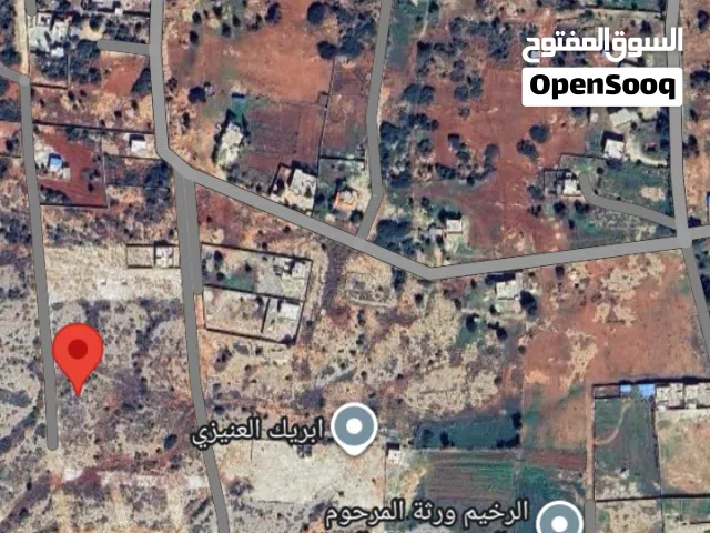 ارض ف شحات المنصوره