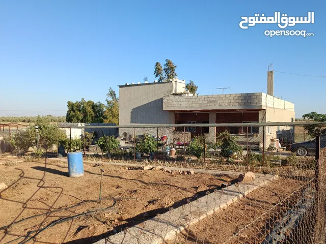 4 Bedrooms Farms for Sale in Mafraq Mughayyer Al-Sarhan