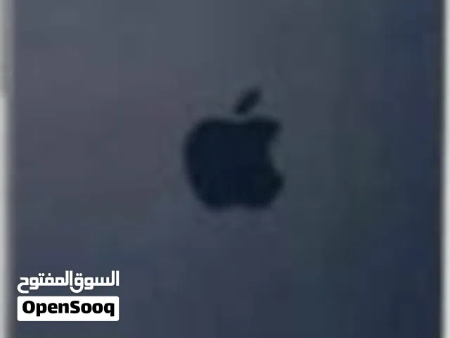Apple iPhone 17 256 GB in Muscat
