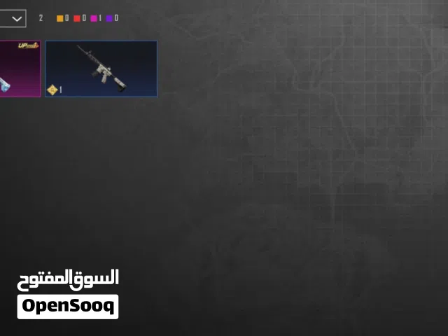 Pubg Accounts and Characters for Sale in Irbid