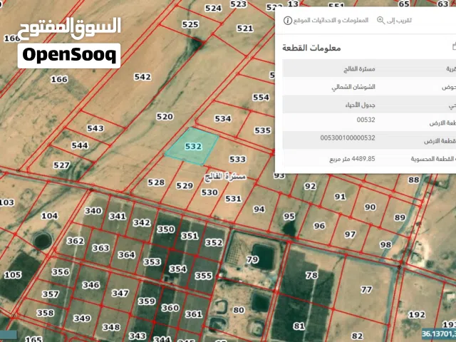 Farm Land for Sale in Amman Al-Quneitirah