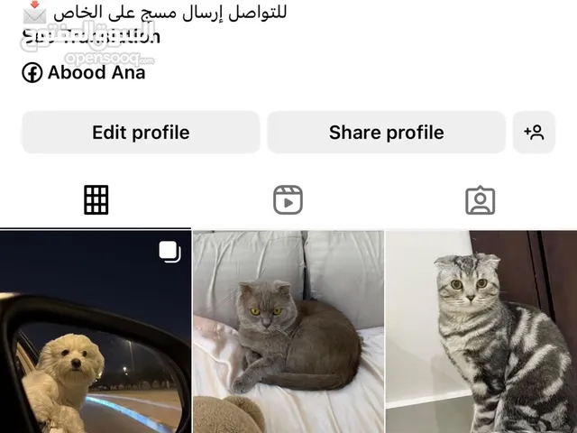 حساب التبني cat_z92