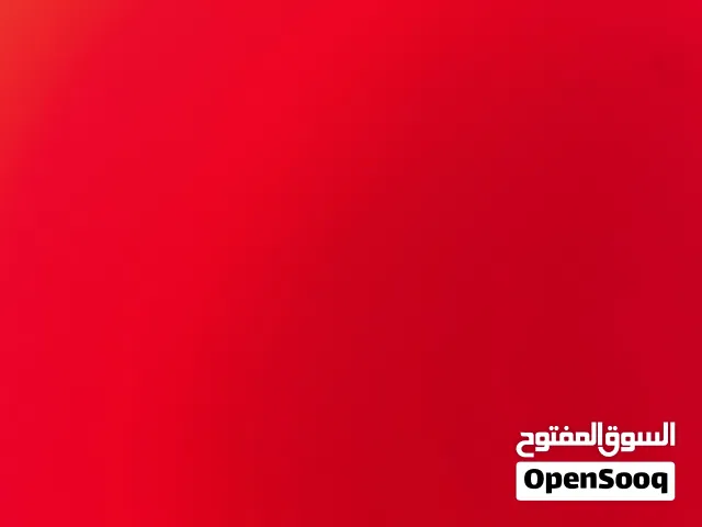 احتاج طير للتبني يكون من طيور الحب الي هم البادجي والروز إلى آخره