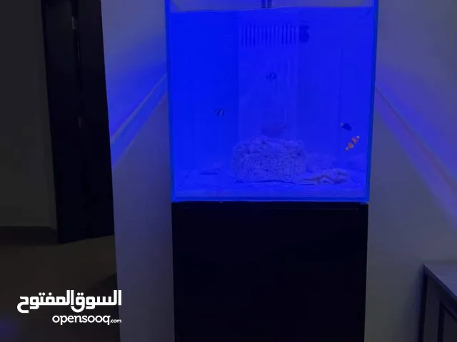 حوض سمك بحري