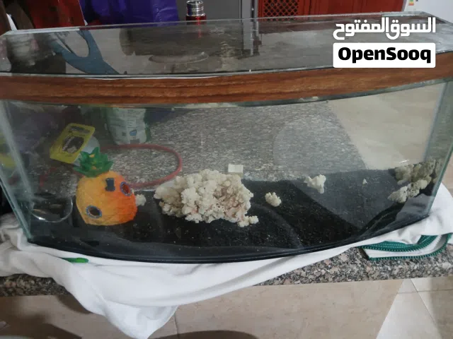 حوض سمك  عرض 60 مع تراب بازلت مع زينة و سمك زينه 8 حبات قابل للبدل تعديل مع فلتر
