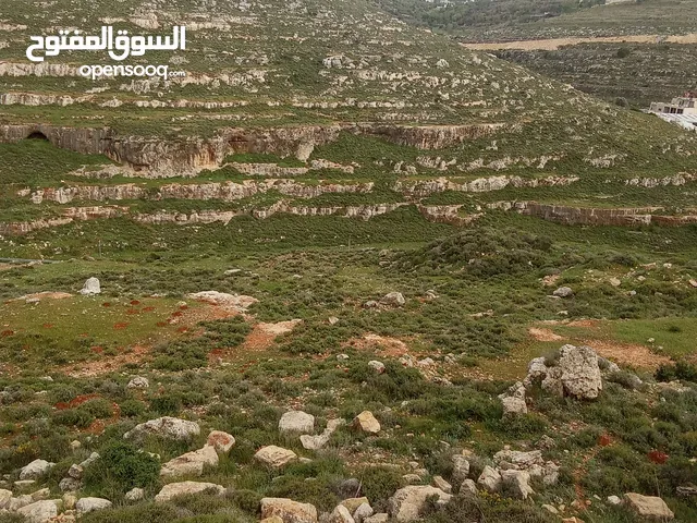 Residential Land for Sale in Ramallah and Al-Bireh Jifna