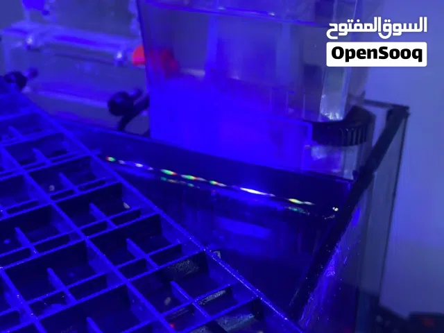 حوض سمك نوعيه ممتازه مع سامب