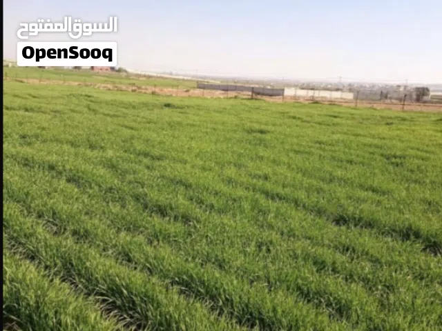 Farm Land for Sale in Mafraq Bala'ama