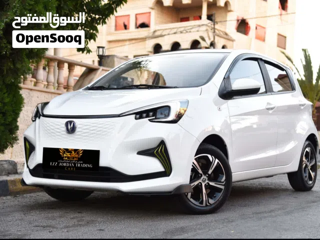 2025 Changan E-Star