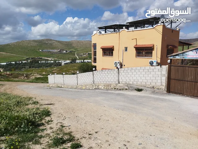 Farm Land for Sale in Zarqa Graisa